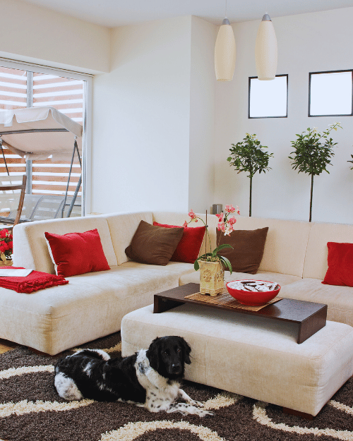 kwashandu civil engineers- garage conversions page