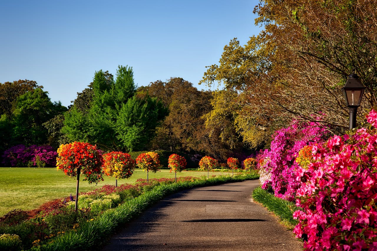 KwaShandu engineers- landscaping services