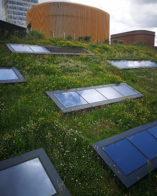 kwashandu civil engineers- green roof waterproofing page