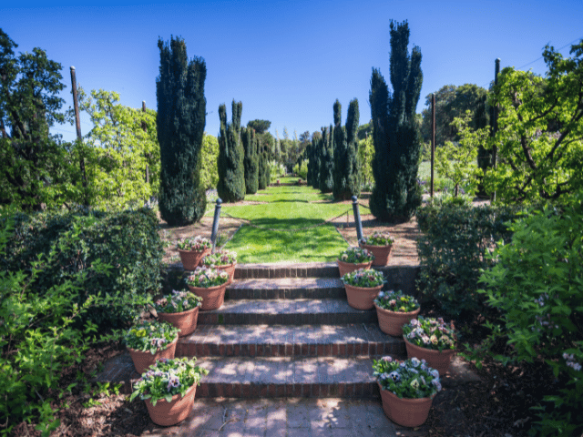 kwashandu civil engineers- retaining walls in urban landscaping