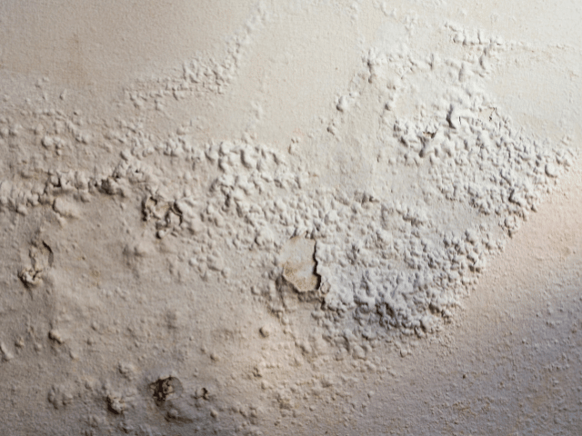 kwashandu civil engineers- how to deal with damp in old buildings