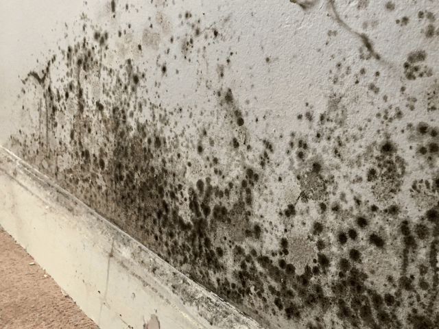kwashandu civil engineers- waterproofing blog page